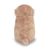  Amuse Otter Usoyan ST Plush Toy Usoyan Fish 