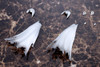  Kotobukiya M.S.G Dress Up Parts: Side Cloak White Ver. 
