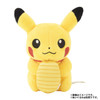  Pokemon Center Original Held Item Mini Mini Mascot Amulet Coin 