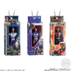 Bandai Candy Shokugan- Kamen Rider Soft Vinyl Package Charm 2 and Chocolate Biscuit