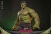 Hot Toys Movie Masterpiece 1/6 Fully Poseable Figure: "Spider-Man: Brand New Day"- Hulk