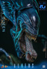 Hot Toys 1/6 Scale Movie Masterpiece - Scale Fully Poseable Figure: Aliens - Alien Queen