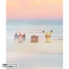 Pokemon Center Original Pokemon Center Original Preorder Sean Wotherspoon X Pokemon Center Plush Pikachu 