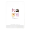 Pokemon Center Original B6 Monthly / Colorful Square
