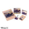  Pokemon Center Original Acrylic Keychain Pokemon Timeless Adventure Alola 