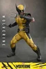 Hot Toys Video Game Masterpiece Marvel's Wolverine VGM91 1/6 Scale Action Figure