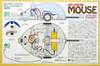 Tamiya 70198 Wall-Hugging Mouse