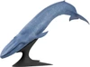 Kaiyodo Blue Whale National Museum of Nature and Science Outdoor Exhibition Figure