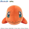 Pokemon Center Original Fluffy Arm Pillow Charmander