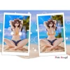 Pink Rouge Danjo no Yujo ga Seiritsu Dekinai Type no Onna Tomodachi 1/7 Scale Figure Special Set