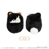 Wind Breaker Kurumi Tapinui Vol.2 4 Piece Box (FULL BOX)