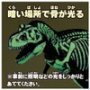 Takara Tomy Ania Tyrannosaurus Skeleton Figure