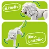 Takara Tomy Ania White Lion Figure