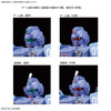 Bandai HGUC 207 Gundam RX-79BD-1 BLUE DESTINY UNIT 1 "EXAM" 1/144 scale kit