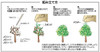Doyusha 103500 Castle Accessory Trees at Castle Plastic Kit