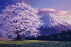 Yanoman Jigsaw Puzzle 10-1304 Japanese Scenery Mt. Fuji & Cherry Blossoms EVENTUAL PAYSAGE (1000 Pieces)