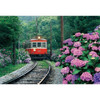 Epoch Jigsaw Puzzle 26-217 HakOne Moutain Railway Japan (300 Pieces)