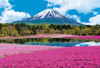 Epoch Jigsaw Puzzle 31-002 Mt. Fuji Moss Phlox Pink (1053 S-Pieces)