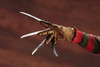 Kotobukiya SV208 ARTFX A Nightmare on Elm Street 4 - Freddy Krueger 1/6 Scale Figure