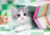 Epoch Jigsaw Puzzle 01-066 Pet Cat Scottish Fold (108 Pieces)