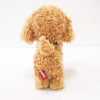 Sunlemon Plush Doll Pups! Toy Poodle Beige S Size