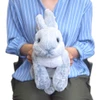 Sunlemon Plush Doll Hiza Usagi Rabbit Gray Size M