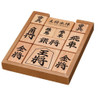 Hanayama Katsunou Brain Teaser SHOGI PUZZLE