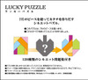 Hanayama Katsunou Brain Teaser LUCKY PUZZLE