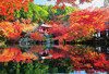 Beverly Jigsaw Puzzle 33-158 Autumn Leaves Daigoji Temple Kyoto Japan (300 Pieces)