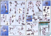 Bandai Gundam Build Divers 020 GBN-Guard Frame 1/144 Scale Kit