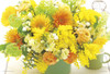 Yanoman Jigsaw Puzzle 03-884 Happy Yellow Flowers (300 Pieces)