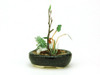 Platz BONN03 The Bonsai Kobanbachi Planting (Black) 1/12 Scale Finished Model