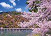 Epoch Jigsaw Puzzle 05-116 Togetsu-kyo Bridge, Cherry Blossom, Kyoto (500 Pieces)