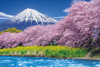 Epoch Jigsaw Puzzle 10-804 Urui River Ryugambuchi, Mount Fuji, Shizuoka, Japan (1000 Pieces)