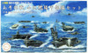 Fujimi 401584 Operation A Ozawa Koh Set 1/3000 Scale Pre-painted kit