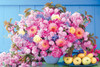 Epoch Jigsaw Puzzle 11-588 Flower Become a Heroine Who is Loved! Romance Pink (1000 Pieces)