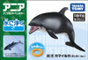 Takara Tomy Ania AS-19 Animal Adventure White-Sided Dolphin (Floating Version)