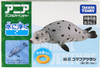 Takara Tomy Ania AS-22 Animal Adventure Spotted Seal (Floating Version)