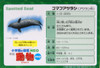 Takara Tomy Ania AS-22 Animal Adventure Spotted Seal (Floating Version)