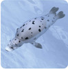 Takara Tomy Ania AS-22 Animal Adventure Spotted Seal (Floating Version)