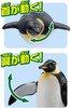 Takara Tomy Ania AS-11 Animal Adventure Emperor Penguin (Floating Version)