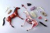 Aoshima 4D Vision No.4 Horse Anatomy Model Non-scale Kit