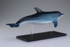 Aoshima 4D Vision No.7 Dolphin Anatomy Model Non-scale Kit