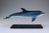 Aoshima 4D Vision No.7 Dolphin Anatomy Model Non-scale Kit