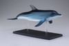 Aoshima 4D Vision No.7 Dolphin Anatomy Model Non-scale Kit