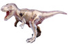 Aoshima 4D Vision No.22 T-Rex Anatomy Model Non-scale Kit