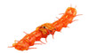 Tamiya Centipede Robot (Clear Orange)