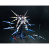 Bandai MG Gundam Strike Freedom Gundam FBM 1/100 Scale Kit