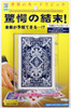 Tenyo Japan 118429 Super Prediction Card (Magic Trick)