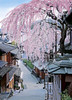 Epoch Jigsaw Puzzle 05-098 Japan landscape Sakura in Bloom Sannei-zaka Kyoto (500 Pieces)